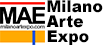 Milano Arte Expo